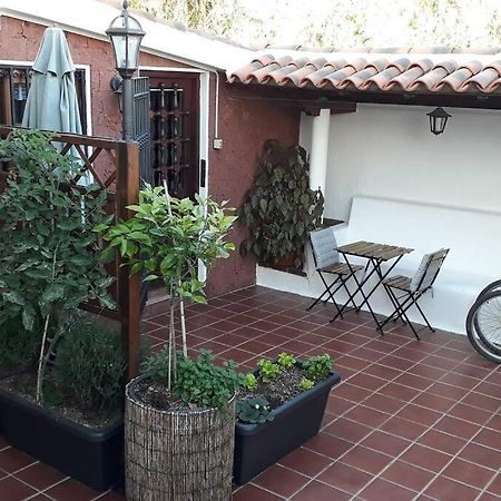 Apartamento Tranquilo En Una Casa Con Jardin La Laguna  Eksteriør billede