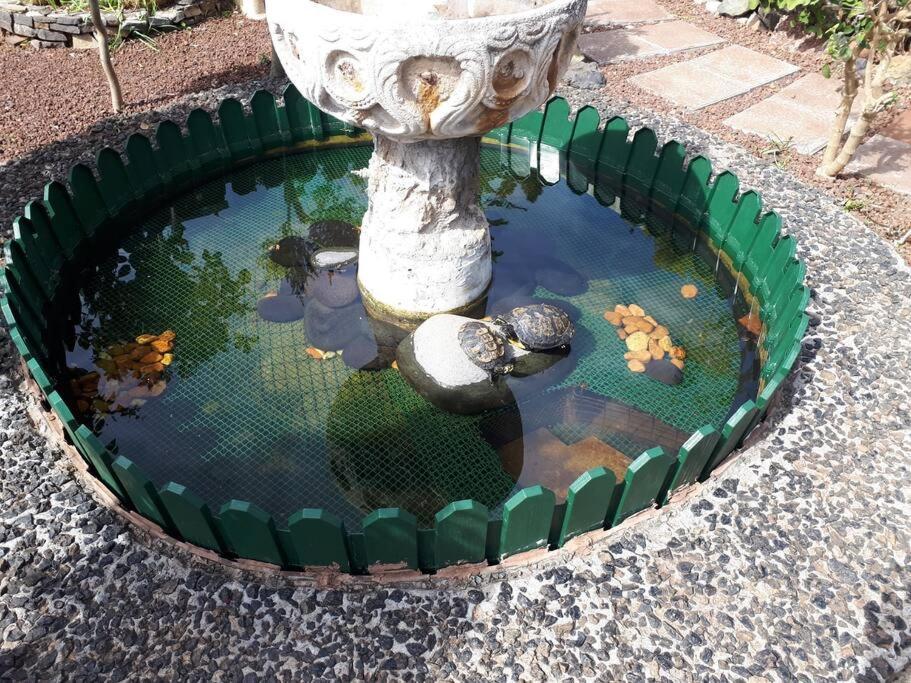 Apartamento Tranquilo En Una Casa Con Jardin La Laguna  Eksteriør billede