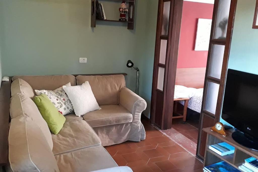 Apartamento Tranquilo En Una Casa Con Jardin La Laguna  Eksteriør billede