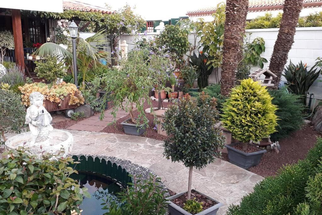 Apartamento Tranquilo En Una Casa Con Jardin La Laguna  Eksteriør billede