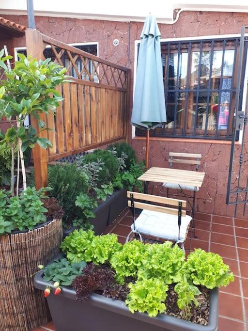 Apartamento Tranquilo En Una Casa Con Jardin La Laguna  Eksteriør billede